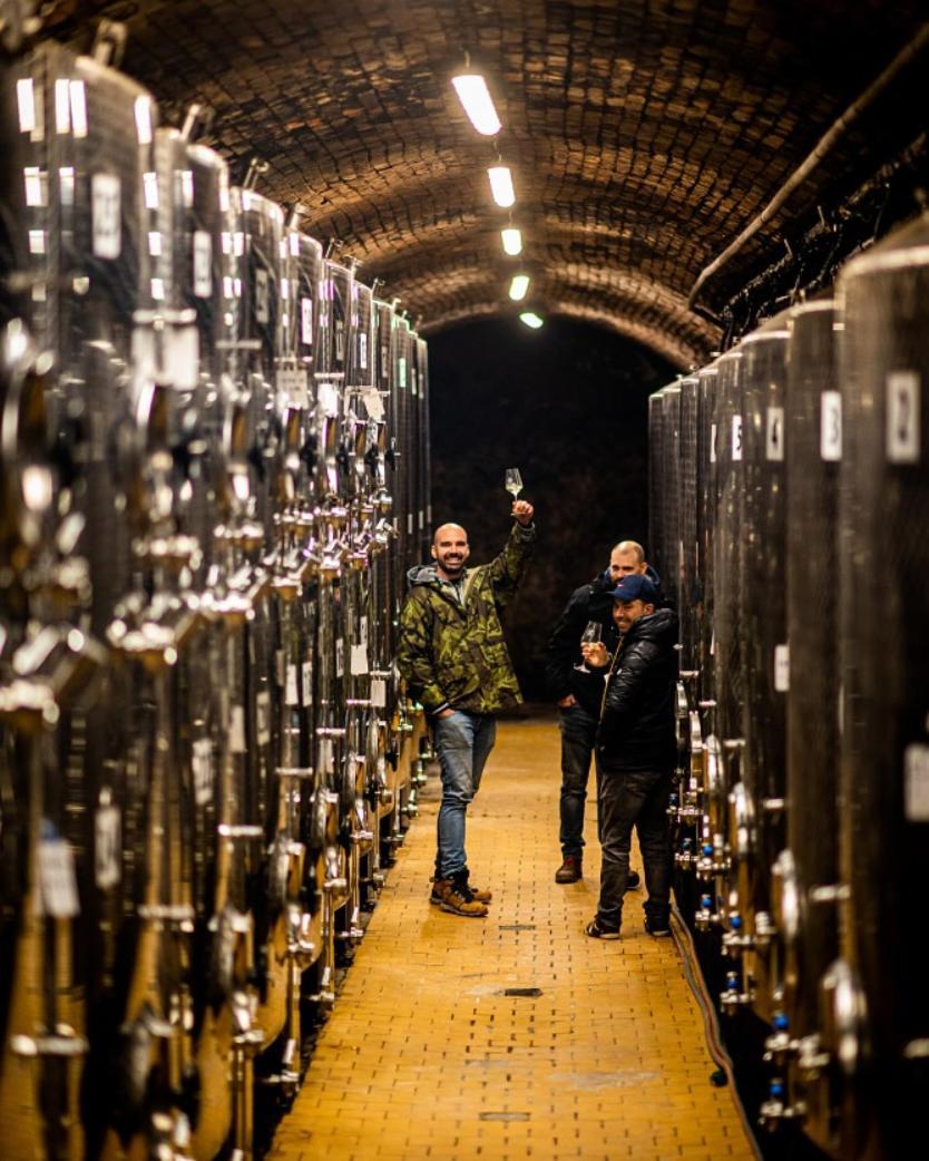 Ubytovani Ve Vinarstvi Zd Nemcicky ภายนอก รูปภาพ