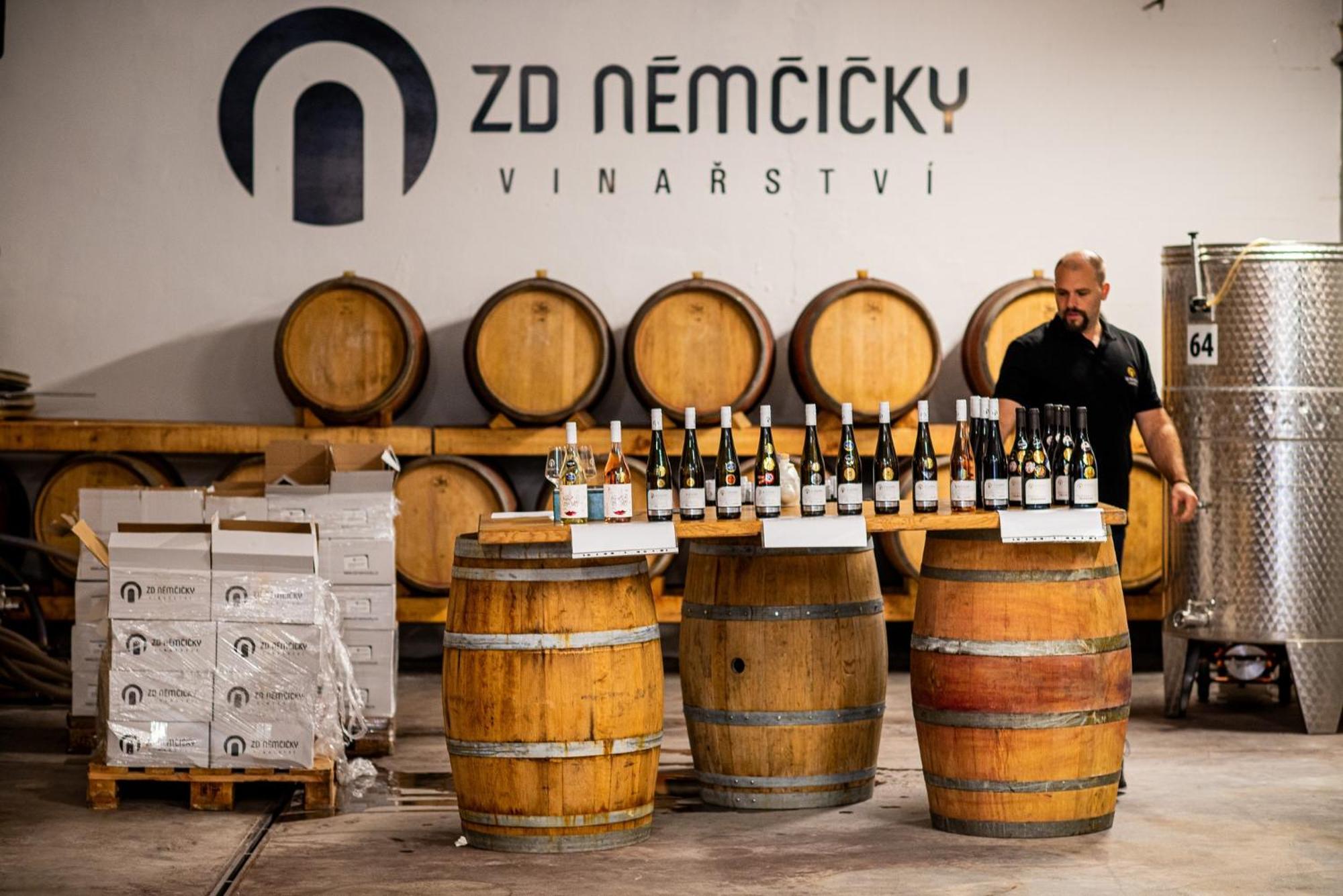 Ubytovani Ve Vinarstvi Zd Nemcicky ภายนอก รูปภาพ